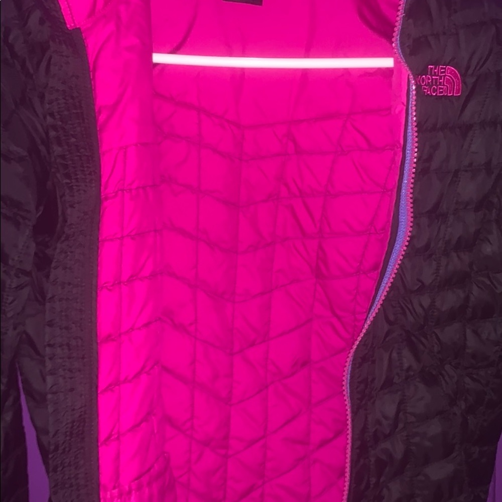 Jacket - Picture 3 of 6